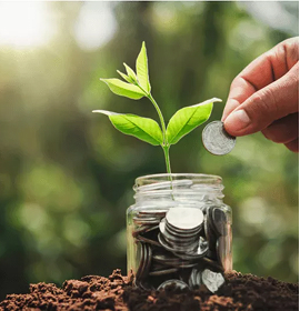 Hand placing coin into jar with sprouting plant
